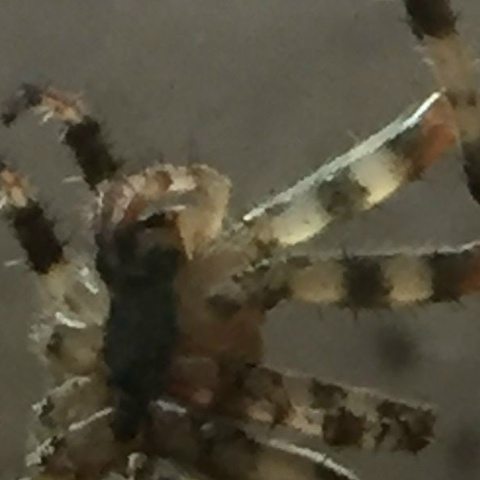 Игорь Рудковский